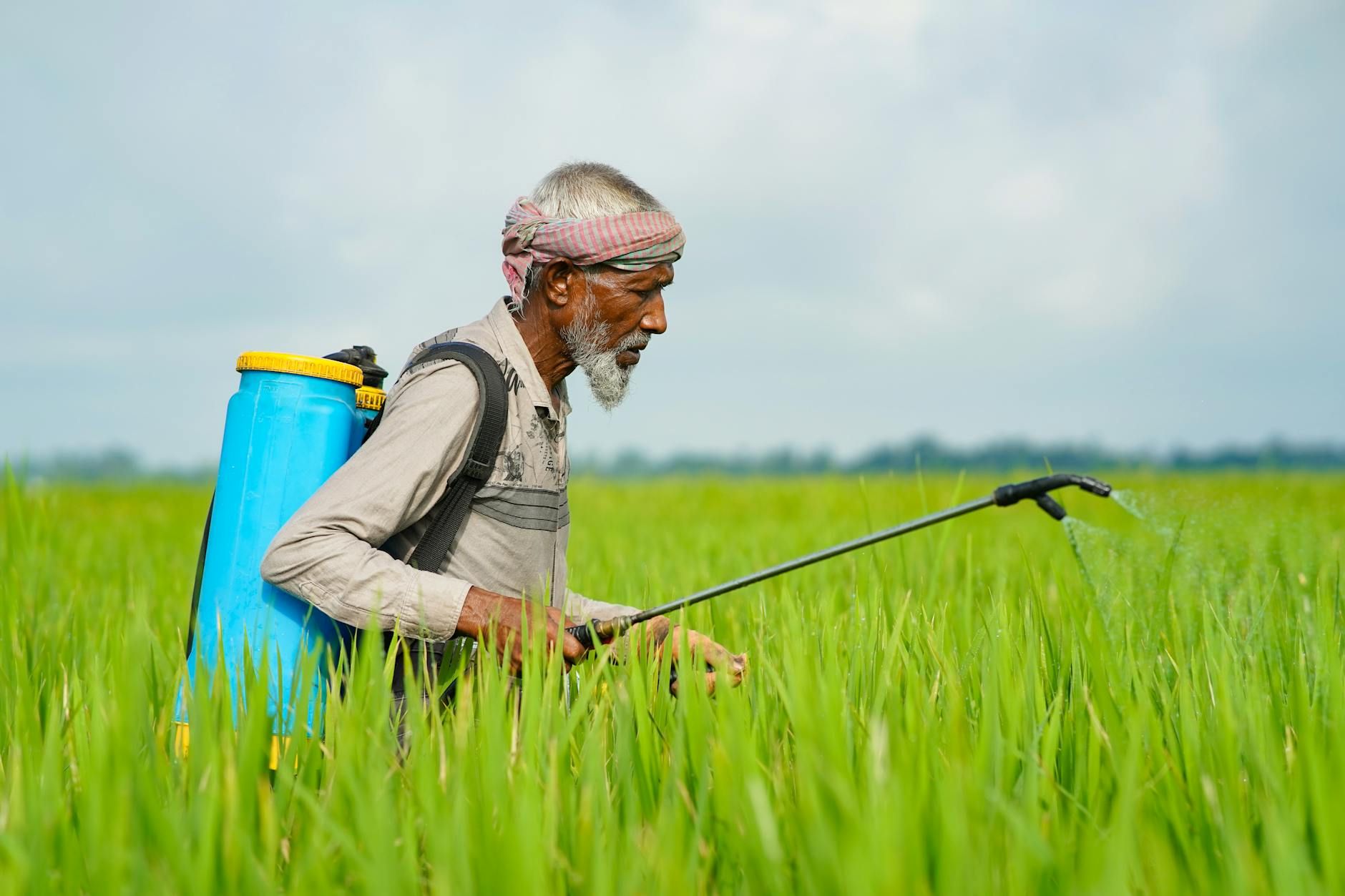 535 Farmers Dead: The Toxic Truth Behind Rajasthan's Pesticide Epidemic