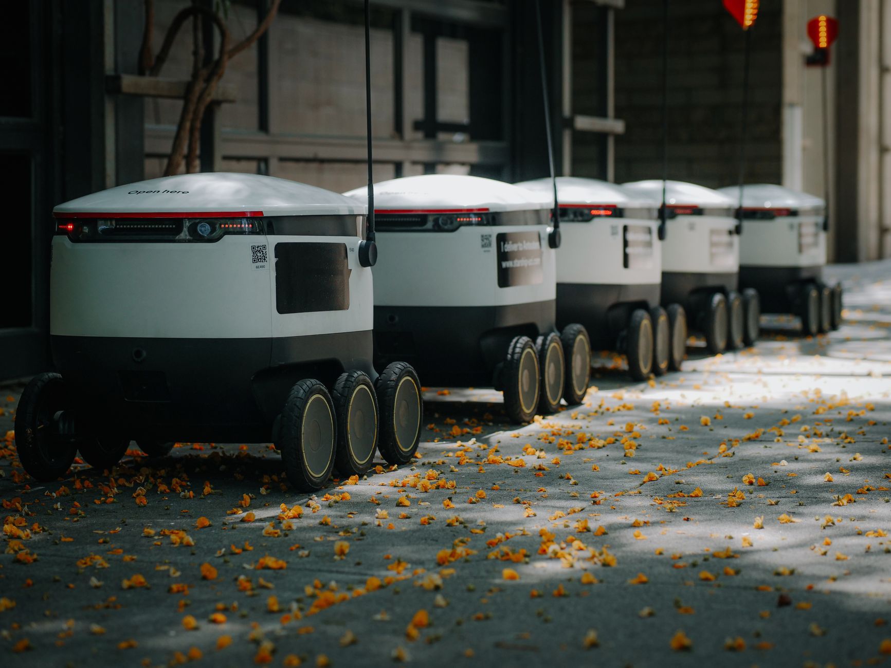 The Dark Side of AI: Can You Spot the Fake Content Creators?