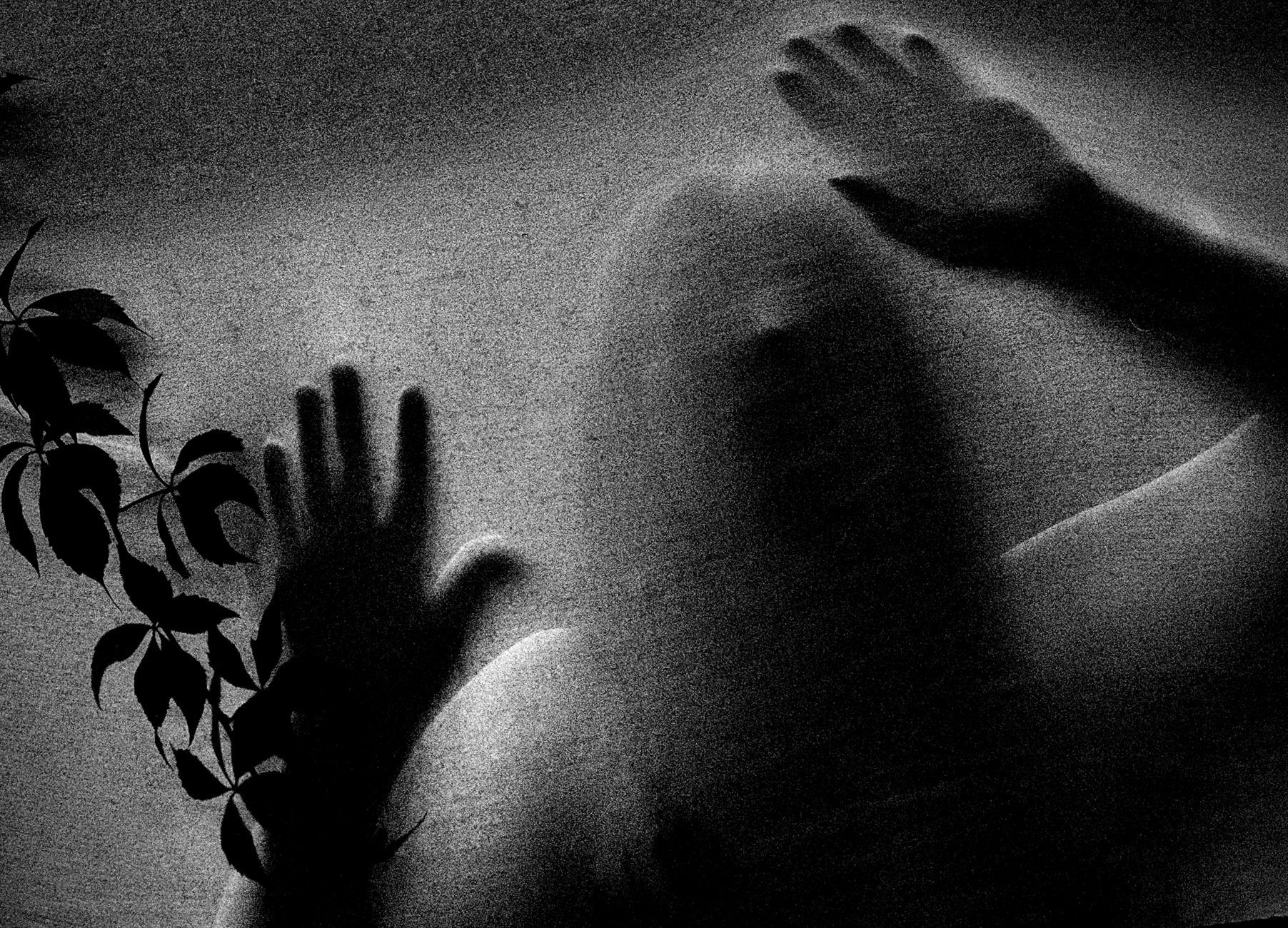 The Future of Horror Movies: What Curry Barker's New Film Means for the Genre