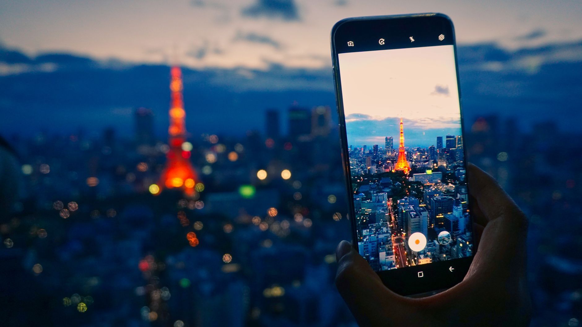 The Future of Social Media: Beyond Instagram - What You Need to Know