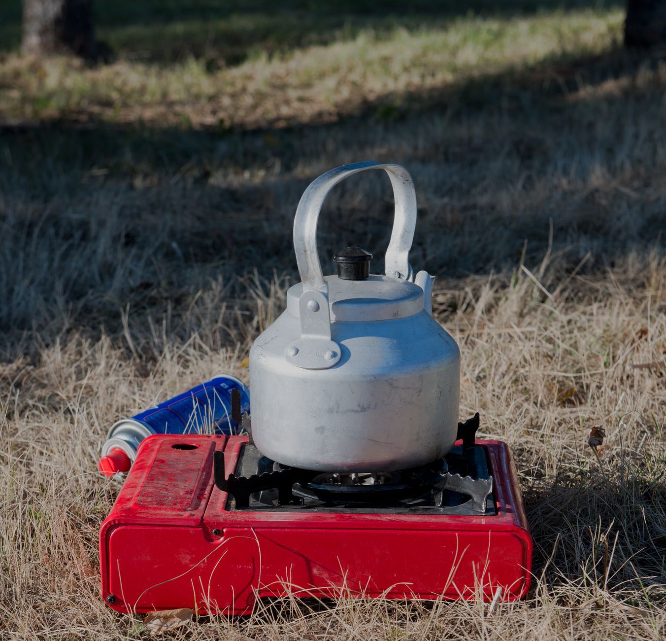 You Won't Believe How Indian Households Are Saving Big Time on Cooking Gas Prices!